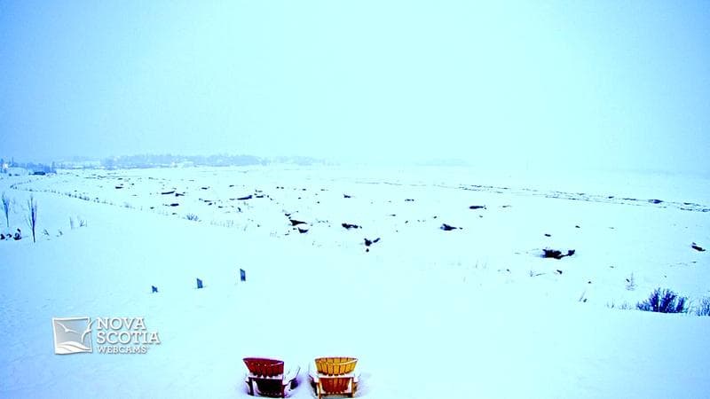 Fundy Discovery Site