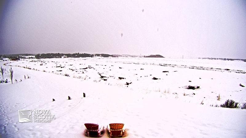 Fundy Discovery Site