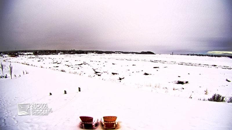 Fundy Discovery Site