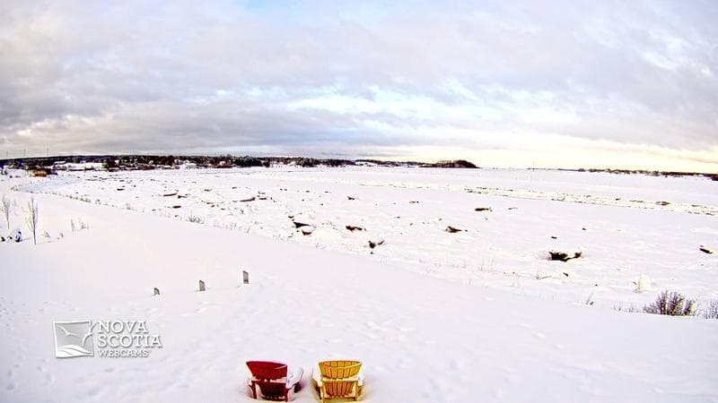 Fundy Discovery Site