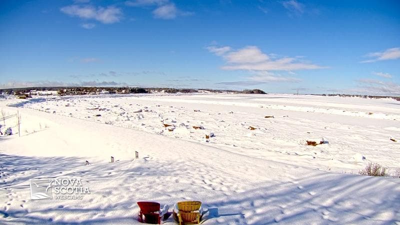 Fundy Discovery Site