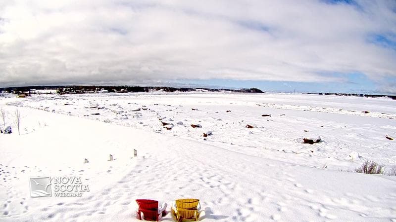 Fundy Discovery Site