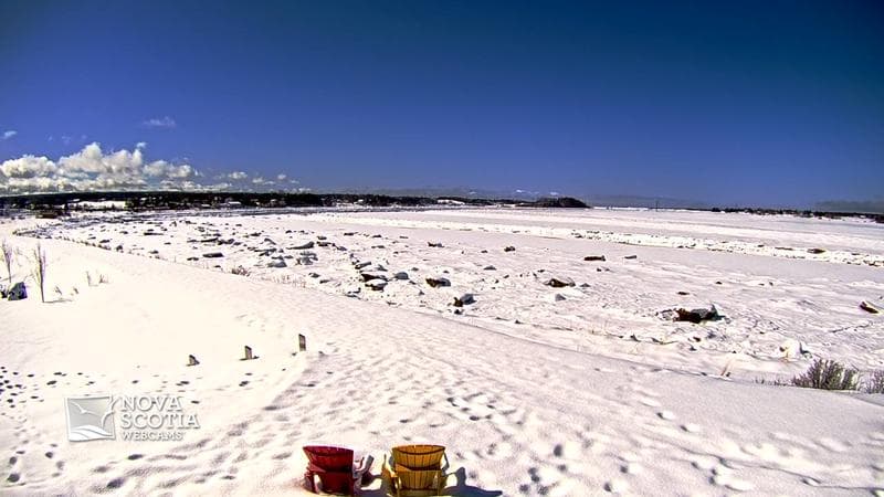 Fundy Discovery Site