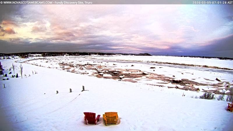 Fundy Discovery Site