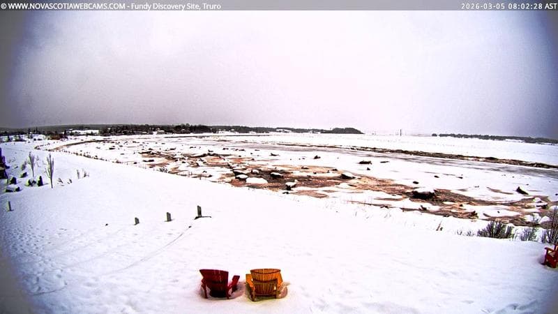 Fundy Discovery Site