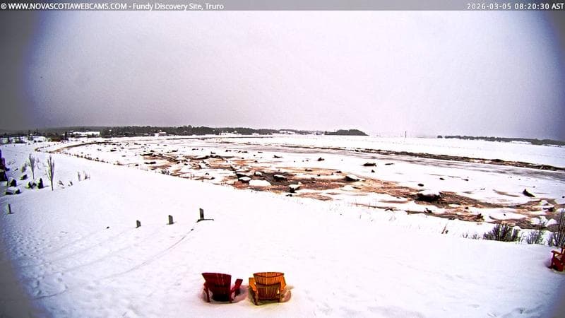 Fundy Discovery Site