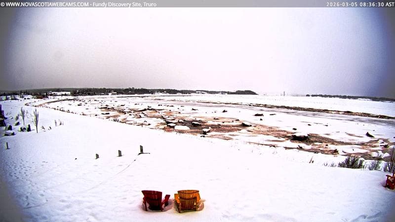 Fundy Discovery Site