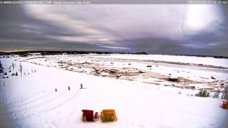 Fundy Discovery Site