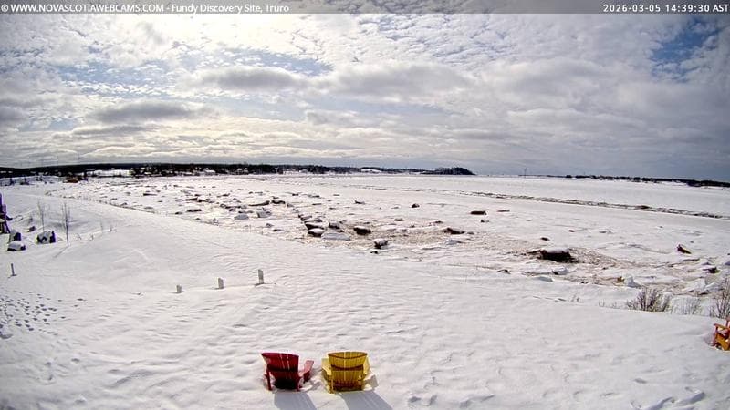 Fundy Discovery Site