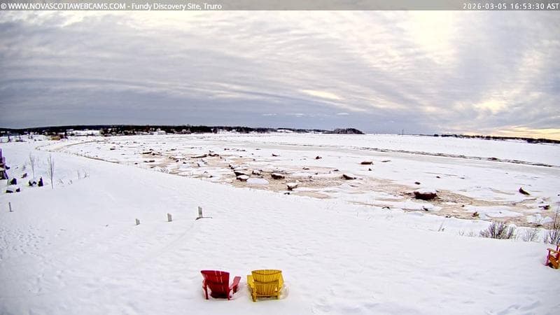 Fundy Discovery Site