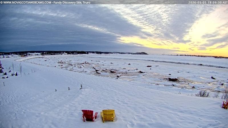 Fundy Discovery Site