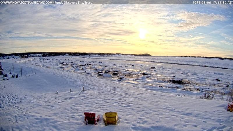 Fundy Discovery Site