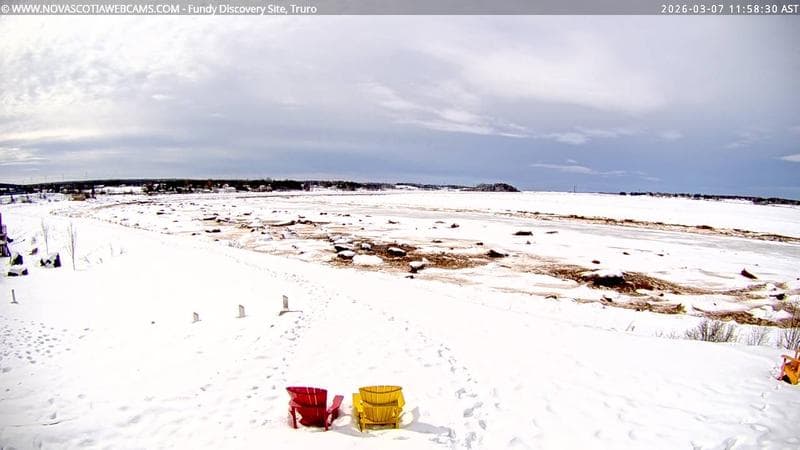 Fundy Discovery Site