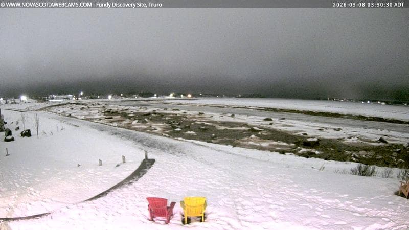 Fundy Discovery Site