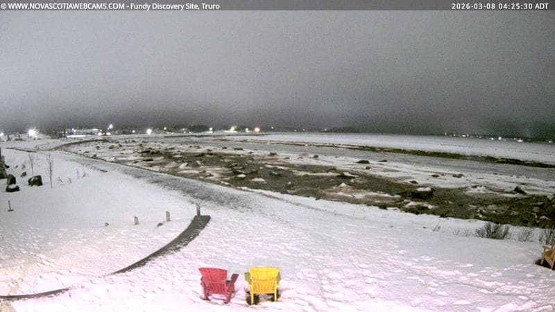 Fundy Discovery Site