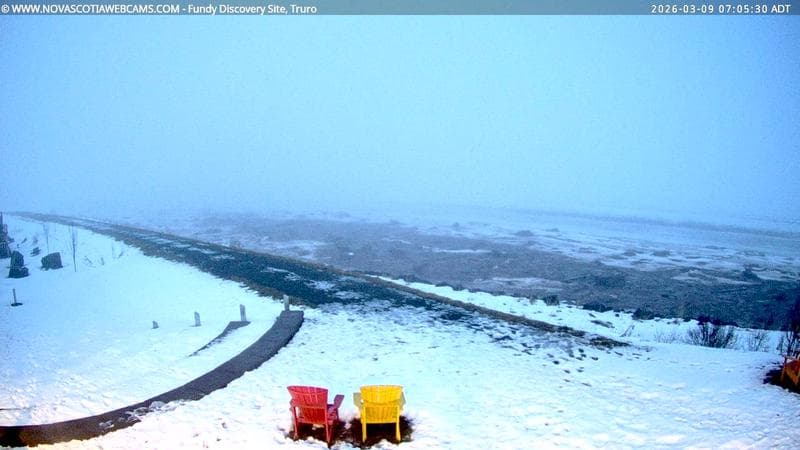 Fundy Discovery Site