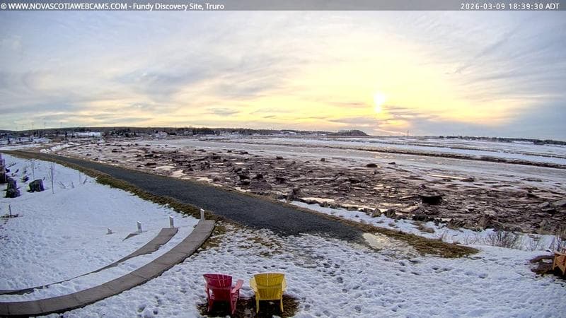 Fundy Discovery Site