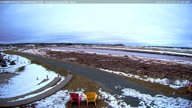 Fundy Discovery Site