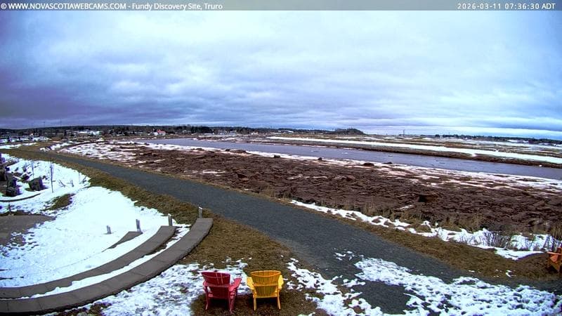Fundy Discovery Site