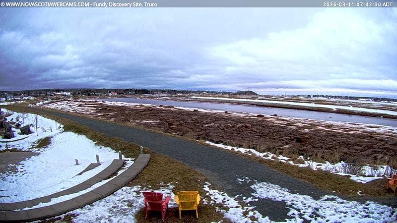 Fundy Discovery Site