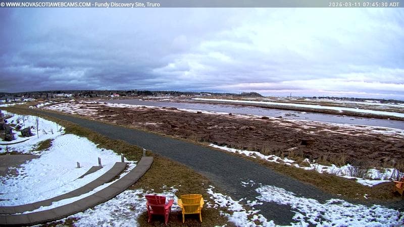 Fundy Discovery Site