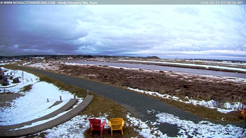 Fundy Discovery Site