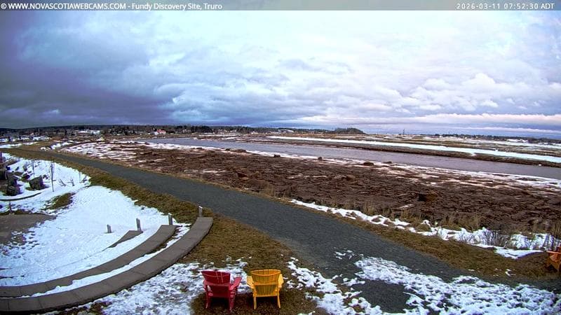 Fundy Discovery Site