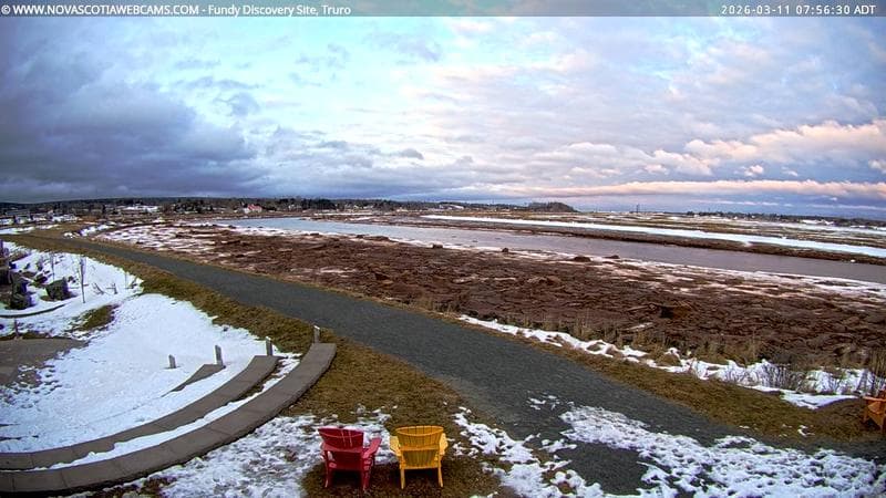Fundy Discovery Site