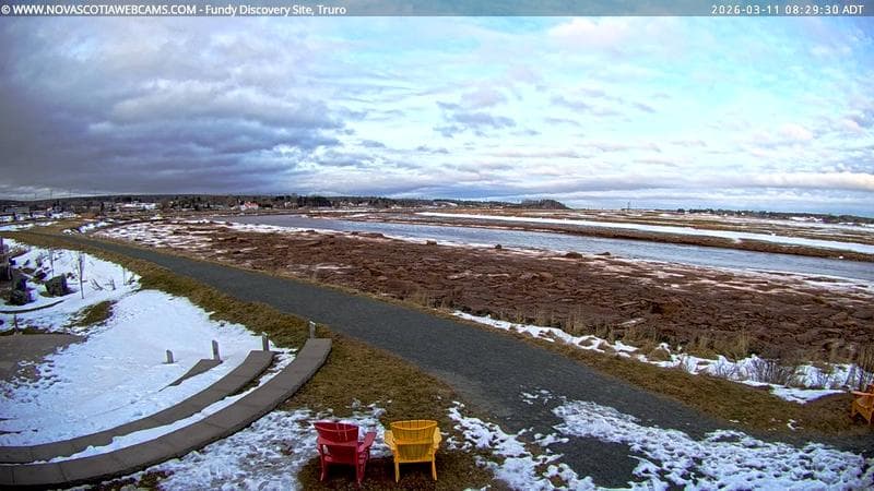 Fundy Discovery Site