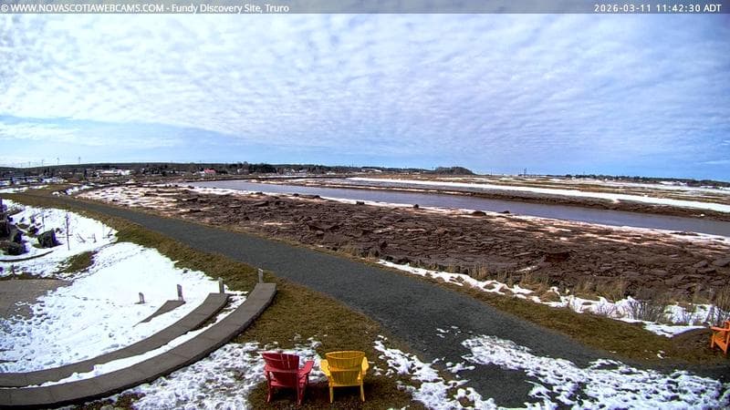 Fundy Discovery Site
