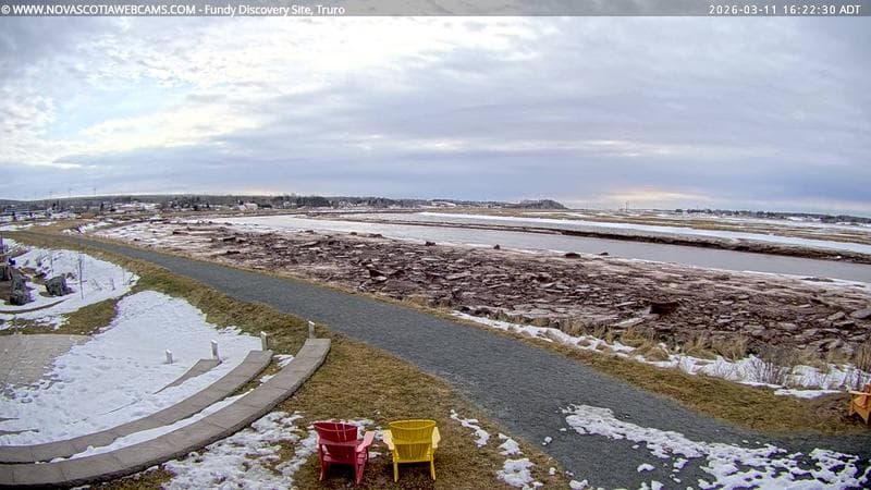Fundy Discovery Site