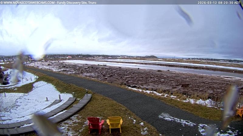Fundy Discovery Site