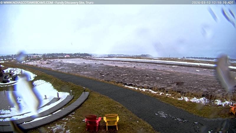 Fundy Discovery Site