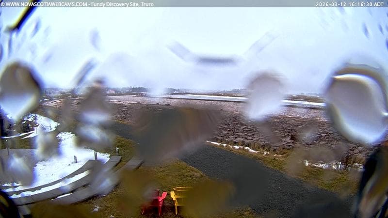 Fundy Discovery Site