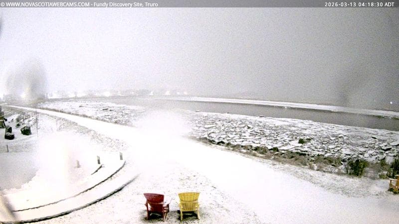 Fundy Discovery Site