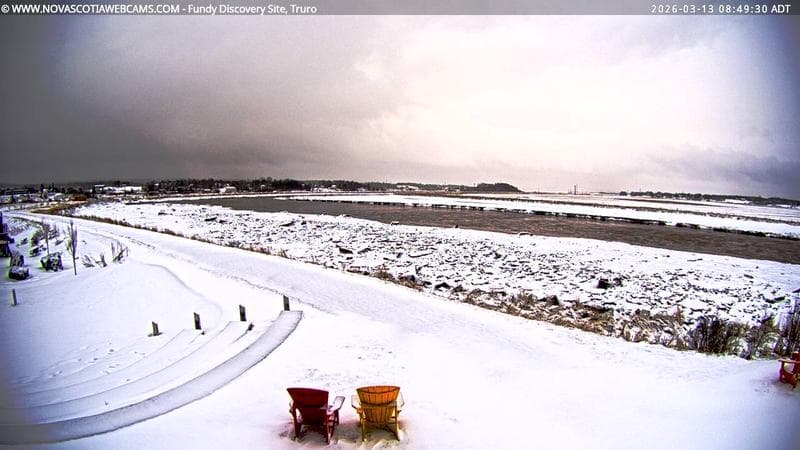 Fundy Discovery Site