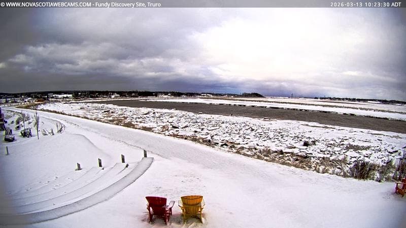 Fundy Discovery Site
