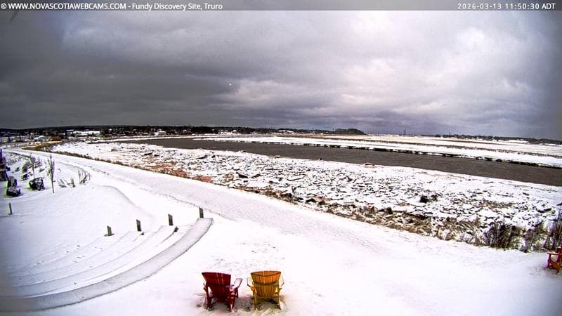 Fundy Discovery Site