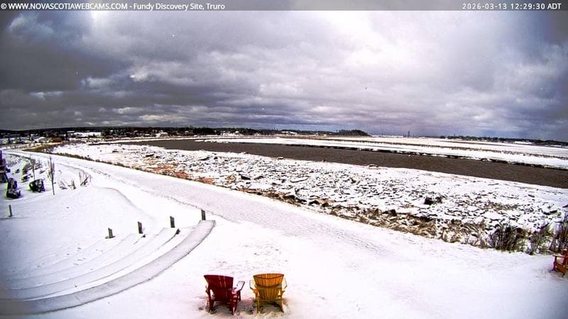 Fundy Discovery Site