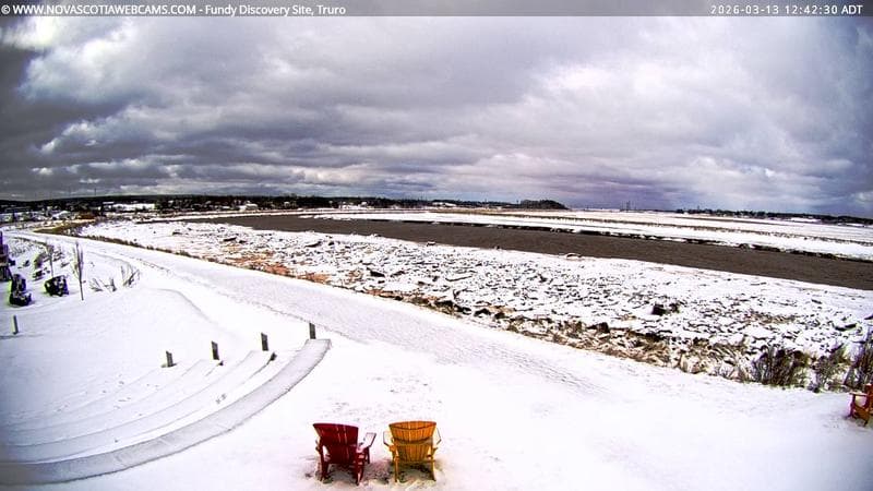 Fundy Discovery Site