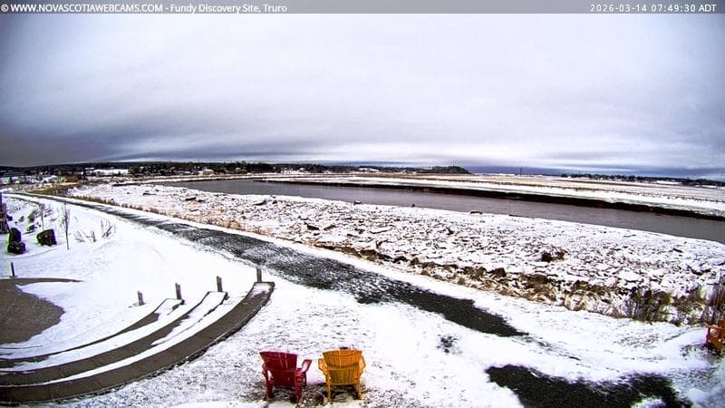 Fundy Discovery Site