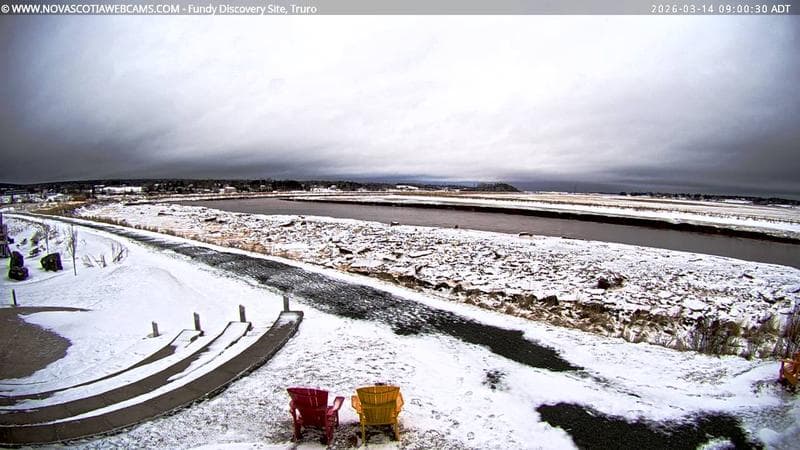 Fundy Discovery Site