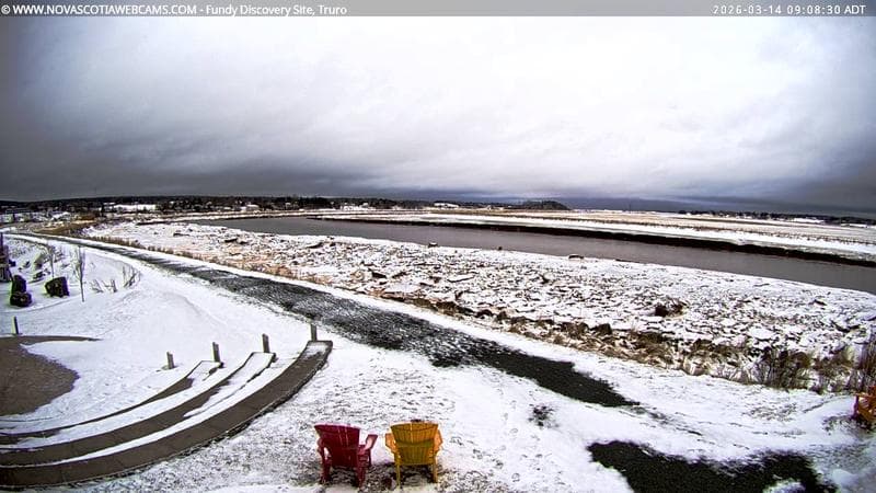 Fundy Discovery Site