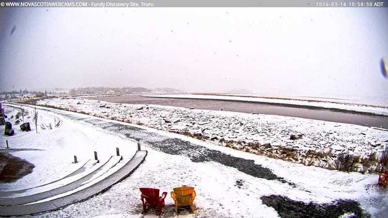 Fundy Discovery Site