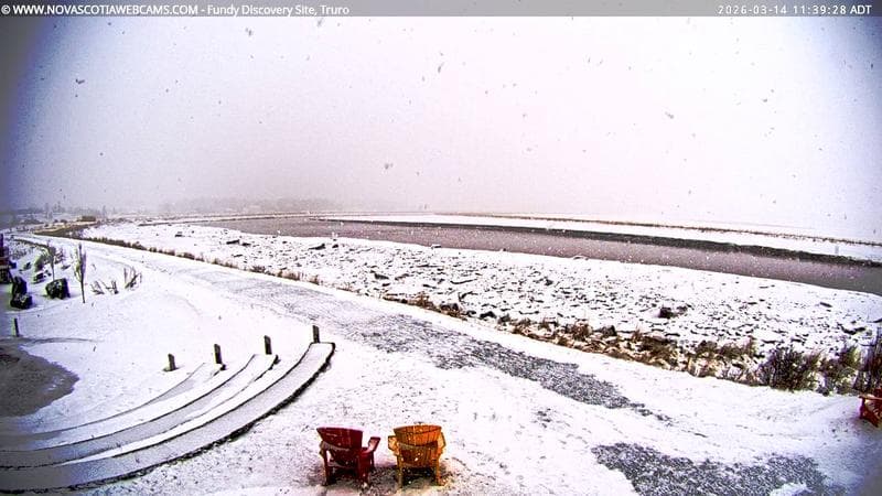 Fundy Discovery Site