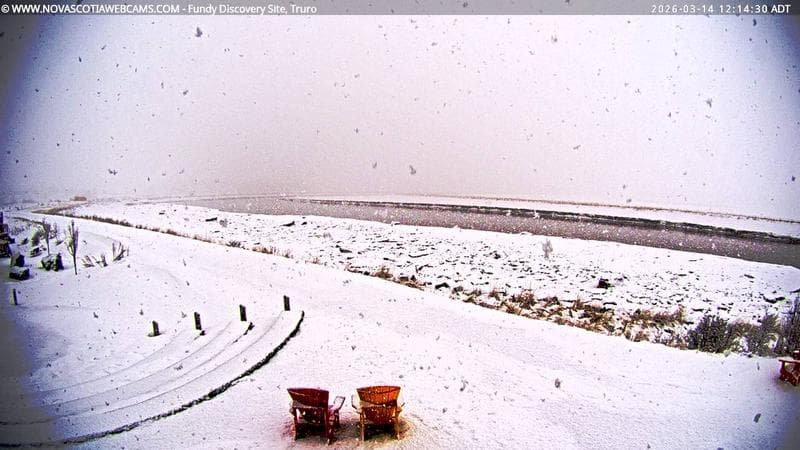 Fundy Discovery Site