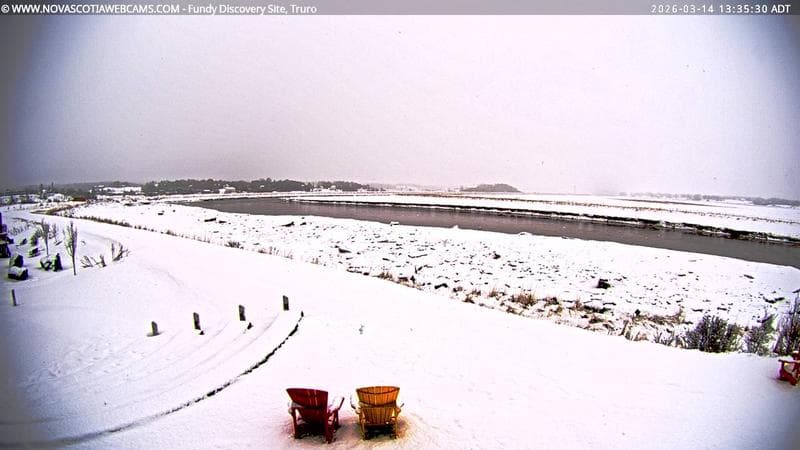 Fundy Discovery Site