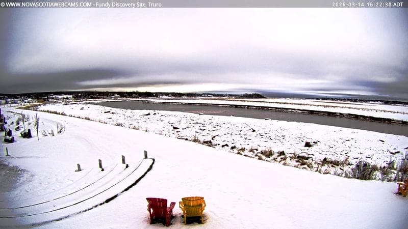 Fundy Discovery Site
