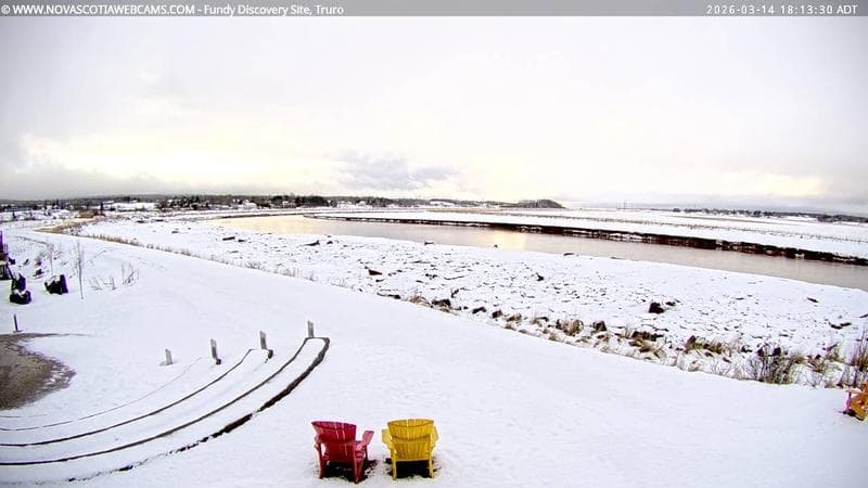 Fundy Discovery Site