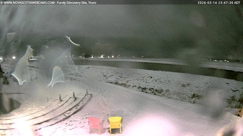 Fundy Discovery Site